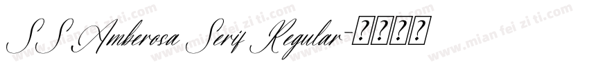 SS Amberosa Serif Regular字体转换